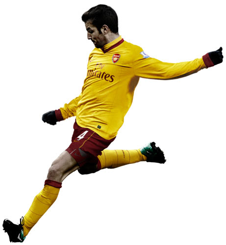 Гостевая форма на сезон 2010/11