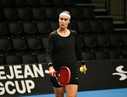 Сборная Украины провела первую тренировку перед игрой с Нидерландами фото 1 sbornaya-ukrainy-provela-pervuyu-trenirovku-pered-igroy-s-niderlandami-foto-1