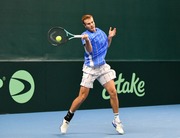 Сборная Украины начала подготовку к матчу Кубка Дэвиса против США фото 2 sbornaya-ukrainy-nachala-podgotovku-k-matchu-kubka-devisa-protiv-ssha-foto-2