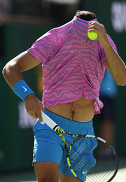 ФОТО. Алькараса ужалили. Суперматч в Индиан-Уэллс прервали из-за атаки пчеч фото 3 foto-alkarasa-uzhalili-supermatch-v-indian-uells-prervali-iz-za-ataki-pchech-foto-3