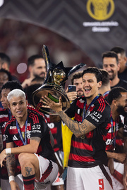 fotogalereya-prazdnovaniya-flamengo-s-trofeem-chempionata-brazilii-foto-2