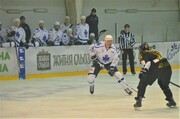 beliy-bars-sokol-1-4-foto-4