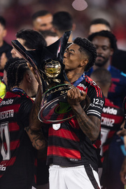 fotogalereya-prazdnovaniya-flamengo-s-trofeem-chempionata-brazilii-foto-4