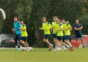 sbornaya-ukrainy-v-ispanii-18032024-foto-2