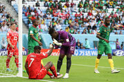 Швейцария Камерун фото 4 shveytsariya-kamerun-foto-4