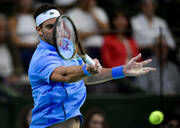 kak-eto-bylo-del-potro-pereigral-dzhokovich-v-proshchalnom-matche-foto-2