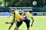 Тренировка сборной Украины в Бремене, 09.06.2023 фото 2 trenirovka-sbornoy-ukrainy-v-bremene-09062023-foto-2