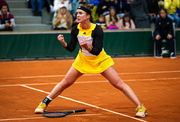 fotogalereya-matcha-svitolina-bogdan-foto-3