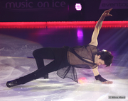 Ламбьель фото 4 lambyel-foto-4