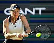 Свитолина - Эала. 1/4 финала Берлина фото 4 svitolina-eala-14-finala-berlina-foto-4