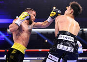 Ломаченко - Накатани фото 2 lomachenko-nakatani-foto-2