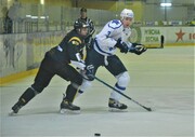 beliy-bars-sokol-1-4-foto-2
