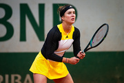 fotogalereya-matcha-svitolina-bogdan-foto-2