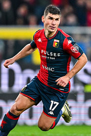 Малина фото 2 malina-foto-2