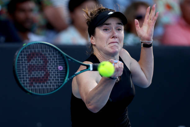 Свитолина svitolina