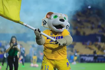 ВІДЕО 18+. Мексиканська фанатка повністю оголила груди під час матчу