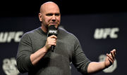 Дэна УАЙТ: «Сейчас UFC стоит 7 миллиардов долларов»