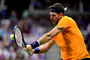 US Open. Дель Потро уверенно выходит в четвертьфинал