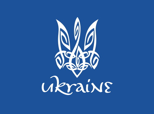 Федерація міні-футболу України обрала нового віце-президента