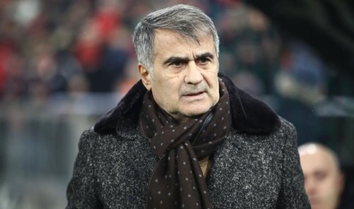Шенол Гюнеш назначен главным тренером сборной Турции