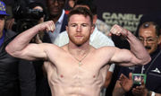 Сауль Альварес получит особый чемпионский статус от WBC