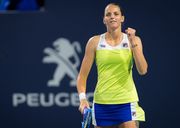 Ешлі Барті – Кароліна Плішкова. Прогноз і анонс фіналу в Маямі