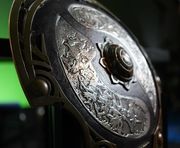 TI8. Fnatic покидает турнир