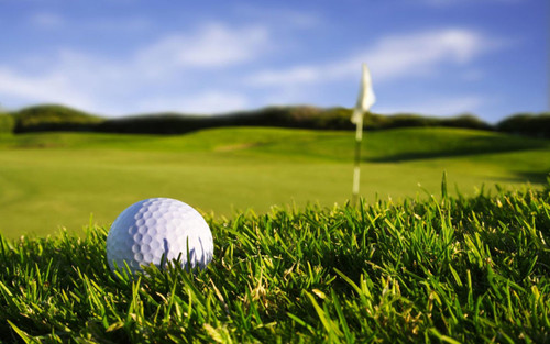 В США на поле для гольфа убили известную гольфистку