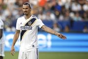 Ибрагимович размышляет над предложением Милана