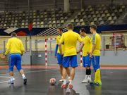 Збірна України у другому спарингу поступилася команді Франції