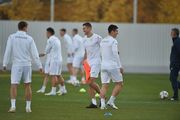 Сборная Украины проведет открытую тренировку перед матчем со Словакией