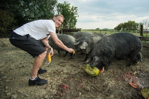 Домагой Вида откроет в Хорватии ферму на 500 свиней