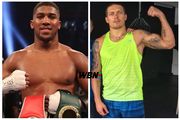 WBO обязала Джошуа провести чемпионский бой против Усика