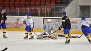 Украина в контрольном матче уступила Южной Корее