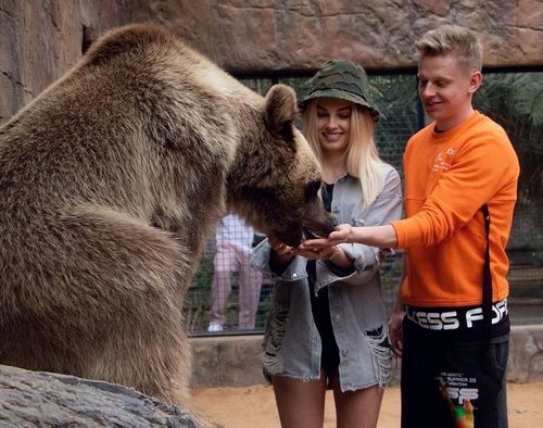 ФОТО. Зинченко и Влада Седан покормили медведя с рук
