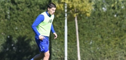 Игорь СУРКИС: «Попов и Цитаишвили еще не заявили о себе в Динамо»