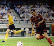 Александр ПАЛЯНИЦА: «Больно смотреть на то, что происходит с Карпатами»