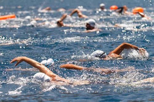 Ліга Плавання — новий проект національного масштабу