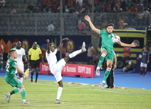 Сенегал - Алжир. Прогноз і анонс на фінал Кубка Африканських націй