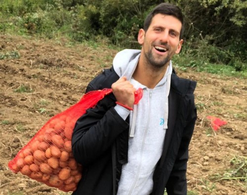 ФОТО. Как Джокович собирал урожай картофеля в деревне