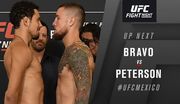 UFC Fight Night 159. Стивен Питерсон нокаутировал Мартина Браво