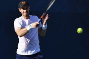 Маррей возвращается в большую игру победой над Зверевым