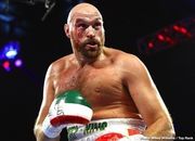 5 самых успешных среди больших боксеров в истории