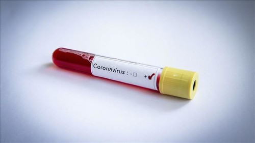 В Англии обнаружено 9 зараженных коронавирусом за последнюю неделю