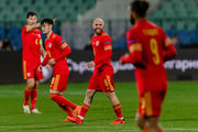 Болгарія – Уельс – 0:1. Відео голу і огляд матчу