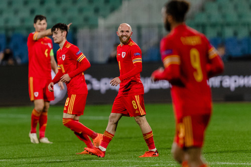 Болгария – Уэльс – 0:1. Видео гола и обзор матча