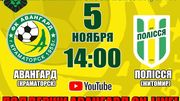 Авангард – Полісся. Дивитися онлайн. LIVE трансляція