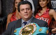 WBC придумала назву для нового дивізіону. У ньому може боксувати Усик
