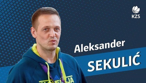 Тренер Словенії: «Україна грала надмірно агресивно»