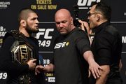 UFC отложит три турнира из-за коронавируса